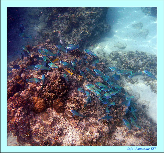 2012 - 07 - Tubod Sanctuary 08